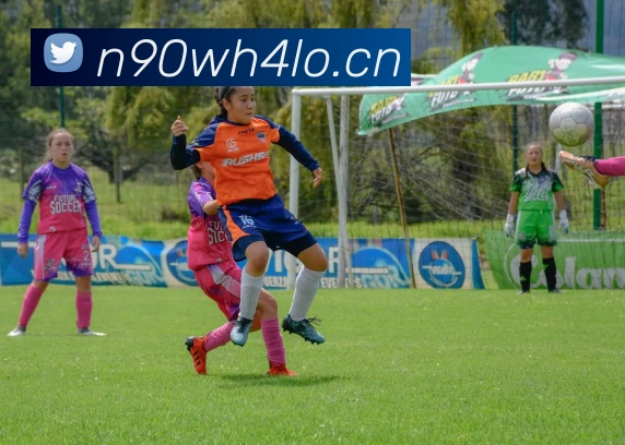 星空平台入口发展历程